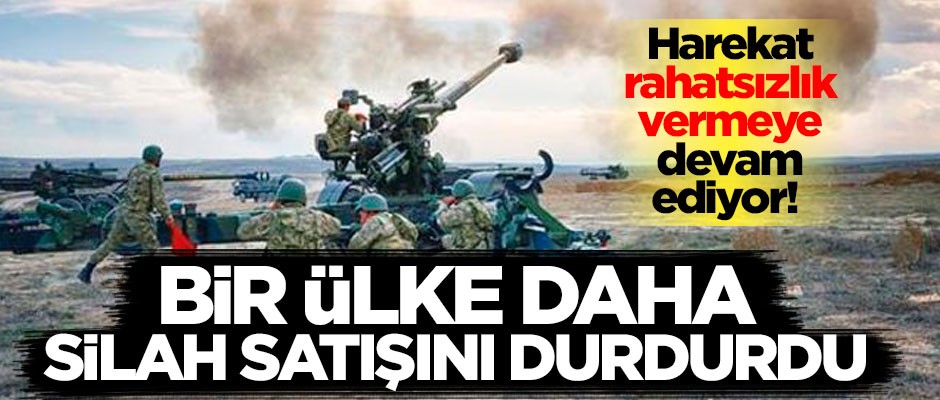 Barış Pınarı Harekatı rahatsızlık vermeye devam ediyor! Bir ülke daha silah satışını durdurdu