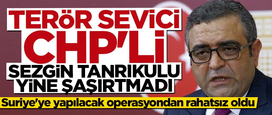 Barış Pınarı Harekatı terör sevici CHP'li Sezgin Tanrıkulu'nu rahatsız etti