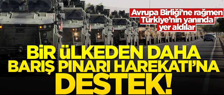 Barış Pınarı Harekatı'na bir destek de Macaristan'dan geldi