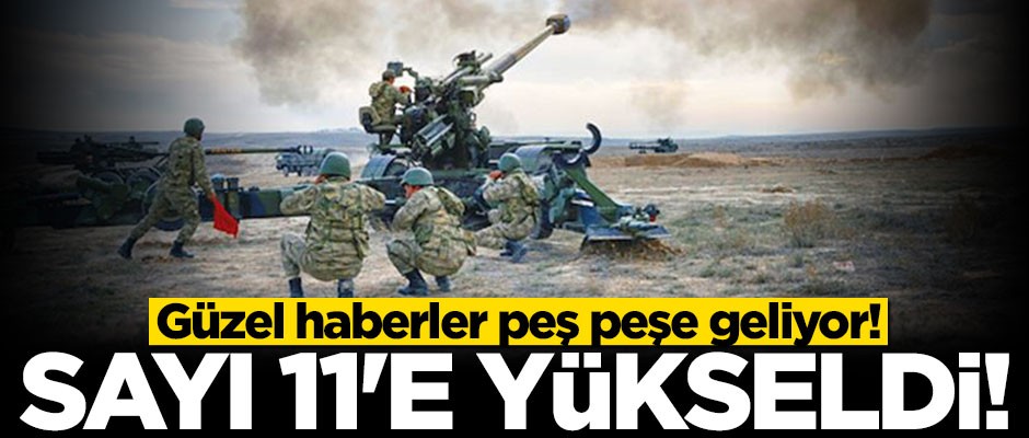 Barış Pınarı Harekatı'nda 11 köy terörden temizlendi