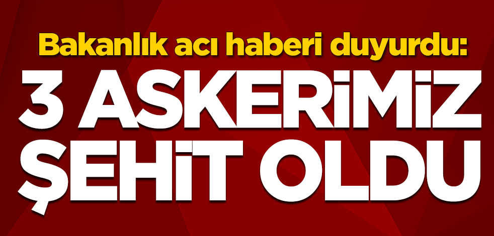 Barış Pınarı Harekatında 3 askerimiz şehit oldu
