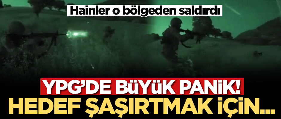 Barış Pınarı Harekatı'ndan paniğe kapılan YPG, yeni cephe açma çabasına girişti