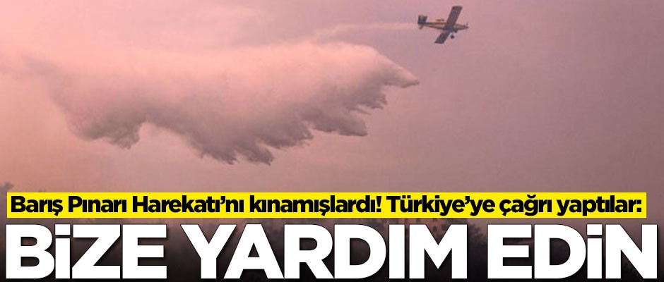 Barış Pınarı Harekatı'nı kınayan o ülkeden Türkiye'ye çağrı: Bize yardım edin