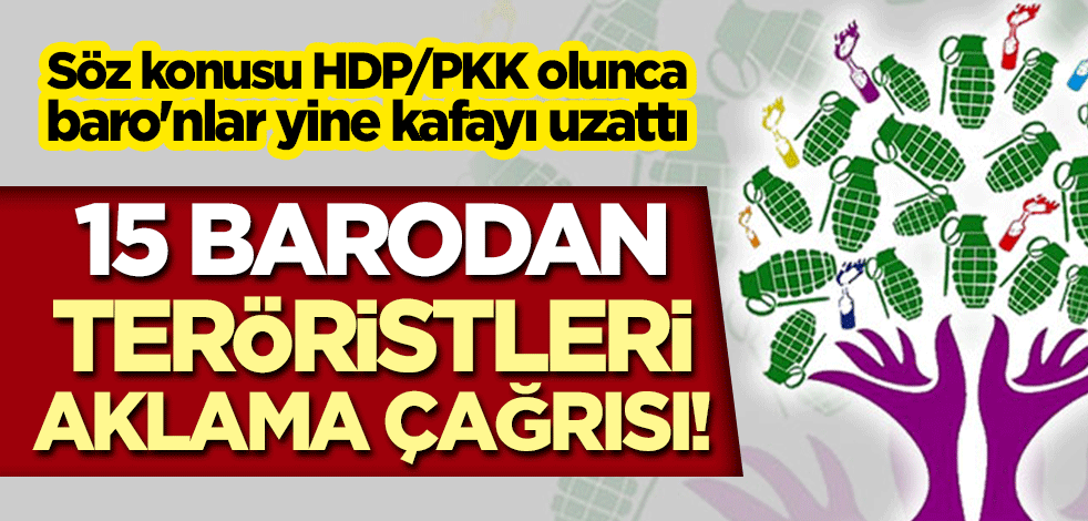 Baro değil, HDP sözcüsü! 15 barodan teröristleri aklama çağrısı