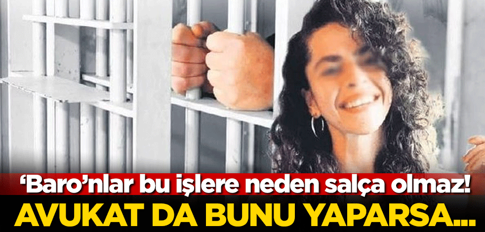 ‘Baro’nlar bu işlere neden salça olmaz! Avukat da bunu yaparsa...