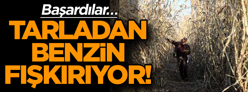 Sonunda başardılar… Tarladan benzin fışkırıyor!