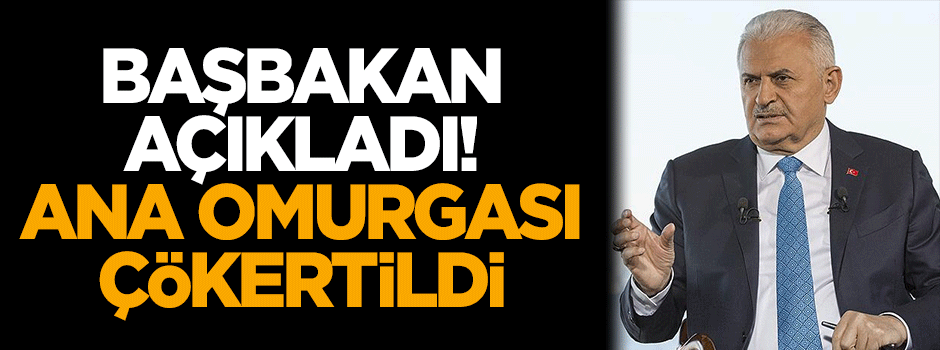 Başbakan: Ana omurgasını çökerttik