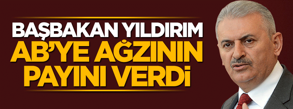 Başbakan Binali Yıldırım AB'ye ağzının payını verdi