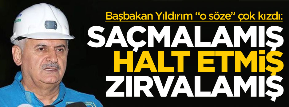 Başbakan Binali Yıldırım: Halt etmiş, saçmalamış, zırvalamış!