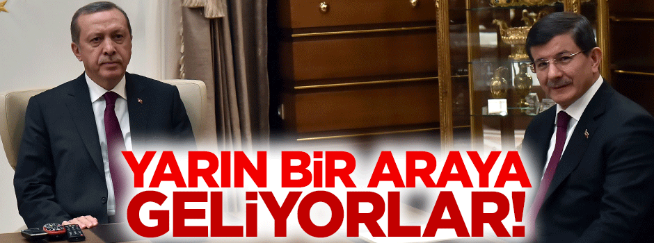 Başbakan, Cumhurbaşkanı'nı ziyaret edecek