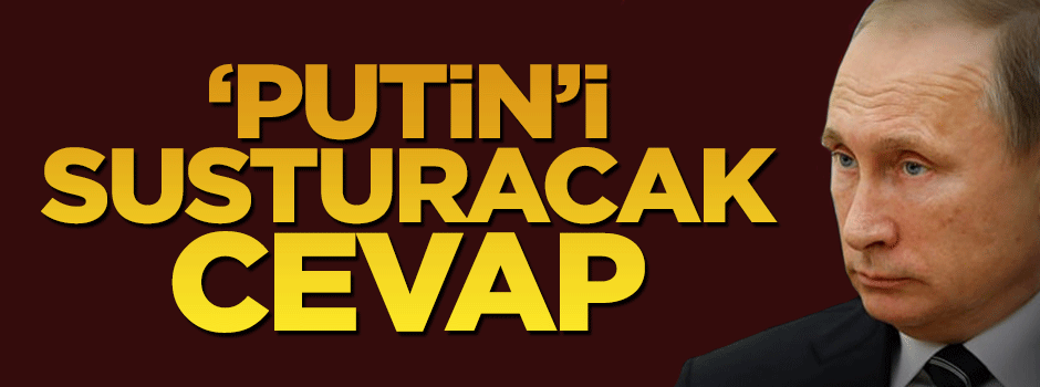 Başbakan Davutoğlu'ndan Putin'e tokat gibi cevap