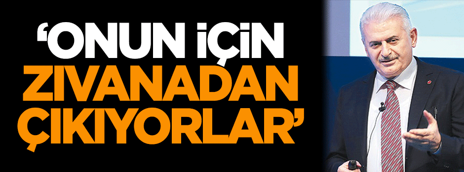 Başbakan: Onun için zıvanadan çıkıyorlar