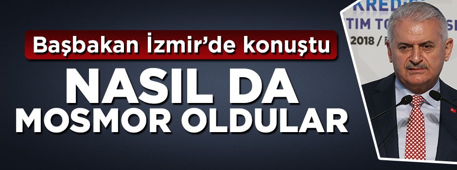 Başbakan Yıldırım: 'Türkiye bitti' diyenler mosmor oldu