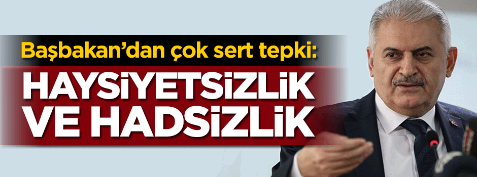 Başbakan Yıldırım'dan Fransa'ya sert tepki
