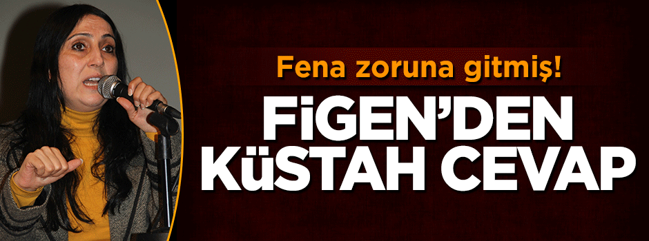 Başbakan'ın sözleri Figen'in zoruna gitmiş!