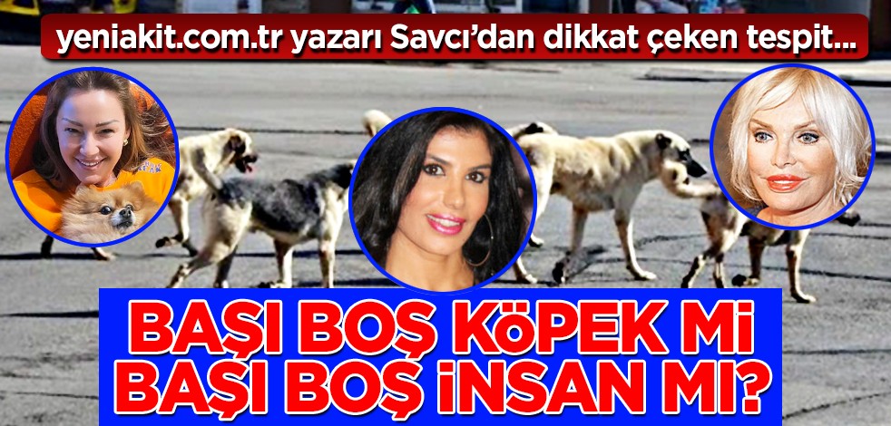 Başı boş köpek mi, başı boş insan mı? Ajda Pekkan, Pınar şirinelik peşinde