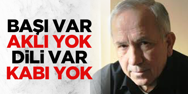 Başı var, aklı yok, dili var, kabı yok