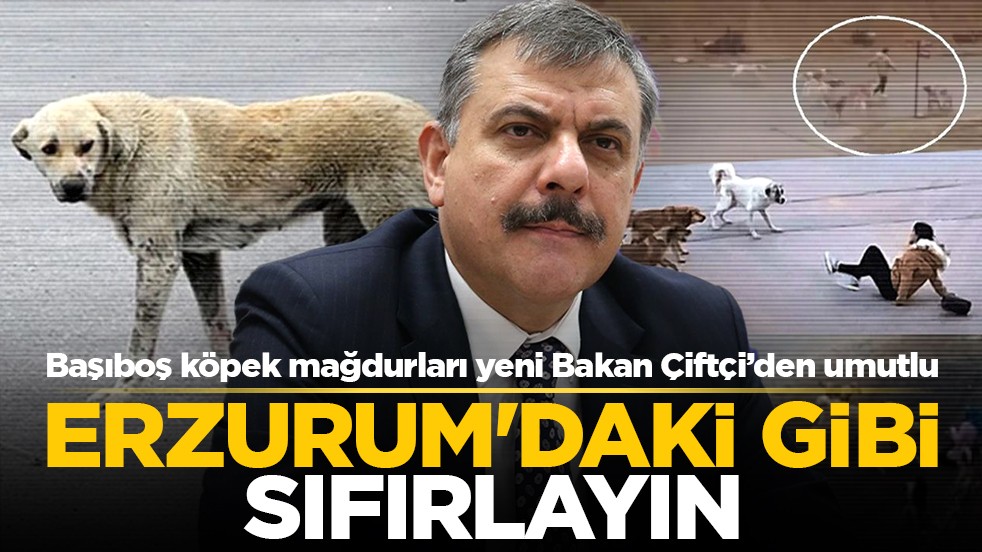 Başıboş köpek mağdurları yeni Bakan Çiftçi’den umutlu: Erzurum'daki gibi sıfırlayın