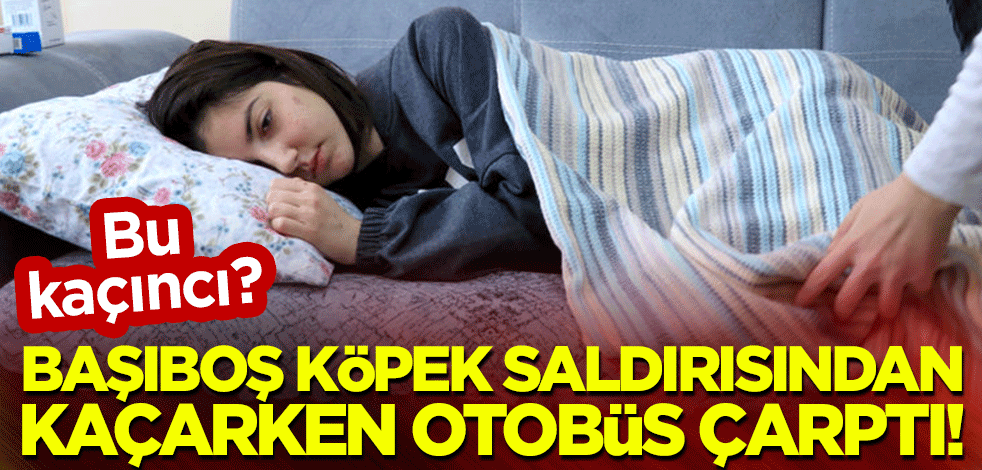 Bu kaçıncı? Başıboş köpek saldırısından kaçarken otobüs çarptı!