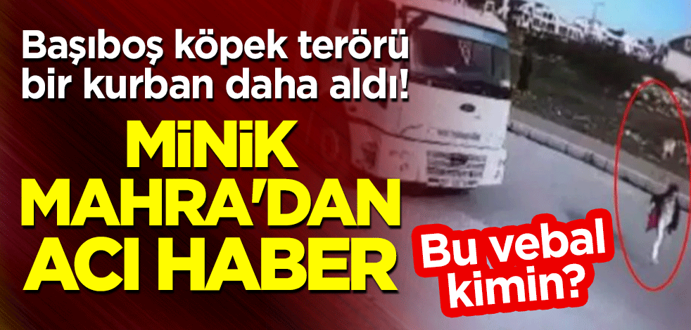 Başıboş köpek terörü bir kurban daha aldı! Mahra Melin Pınar'dan acı haber