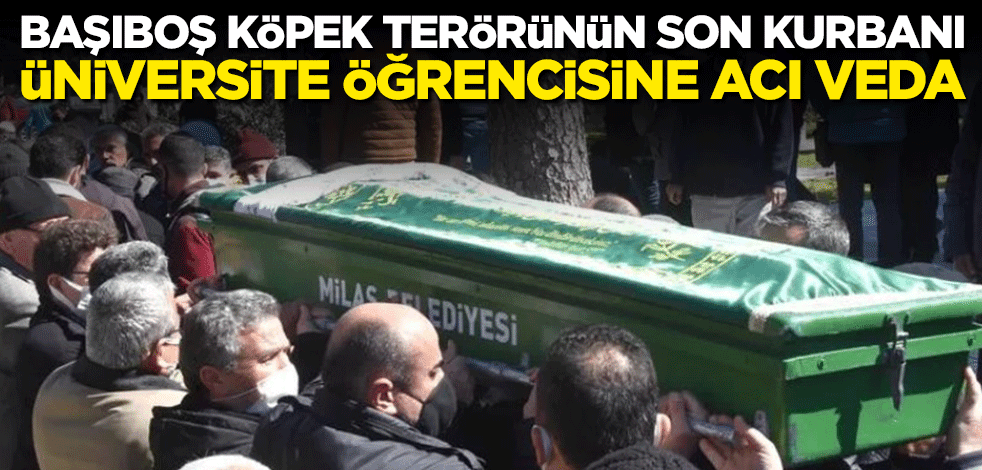 Başıboş köpek terörünün son kurbanı üniversite öğrencisi Rabia Kallı'ya acı veda