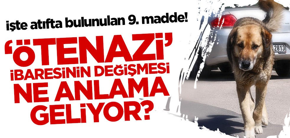 Başıboş köpekle mücadelede sona doğru! İşte 'ötenazi' ibaresi yerine atıfta bulunulan 9. madde