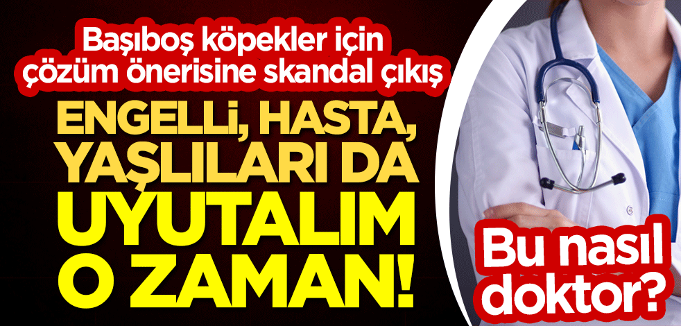 Başıboş köpekler için çözüm önerisine sözde doktordan skandal çıkış: Engelli, hasta, yaşlıları da uyutalım o zaman!