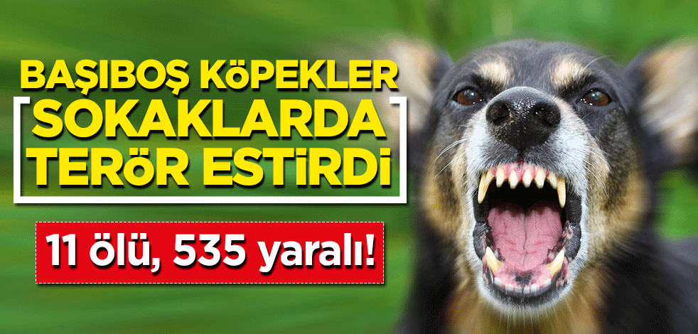 Başıboş köpekler sokaklarda terör estirdi: 24 ölü, 535 yaralı!