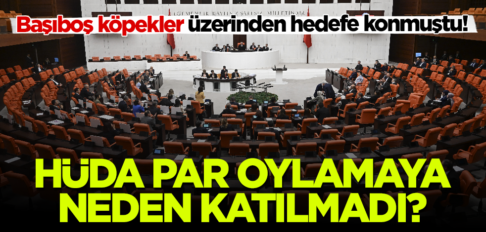 Başıboş köpekler üzerinden hedefe konmuştu! HÜDA PAR oylamaya neden katılmadı?