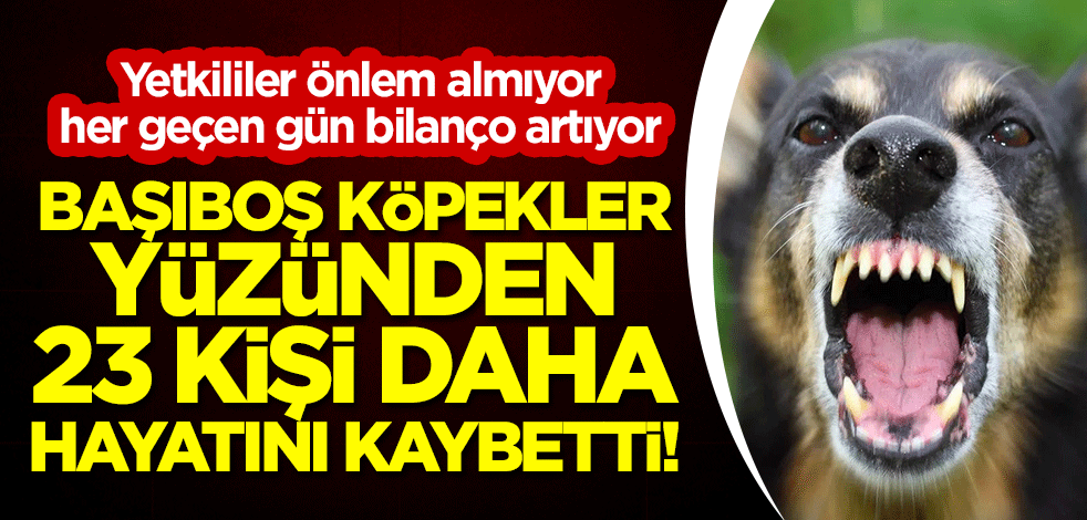 Başıboş köpekler yüzünden 23 kişi daha hayatını kaybetti!