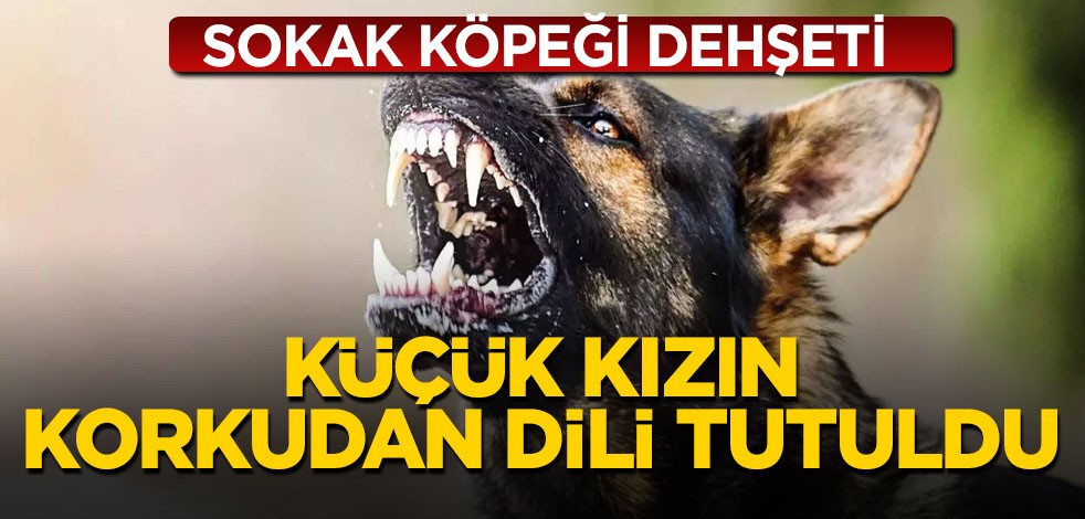 Başıboş sokak köpeği küçük kıza kabusu yaşattı!