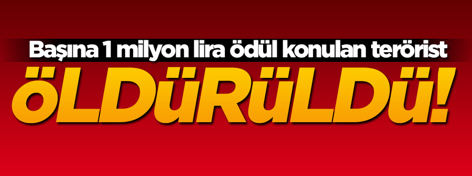 Başına 1 milyon lira ödül konulan terörist öldürüldü!