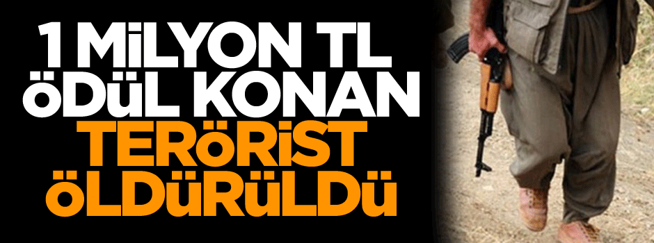 Başına 1 milyon TL ödül konan terörist etkisiz hale getirildi