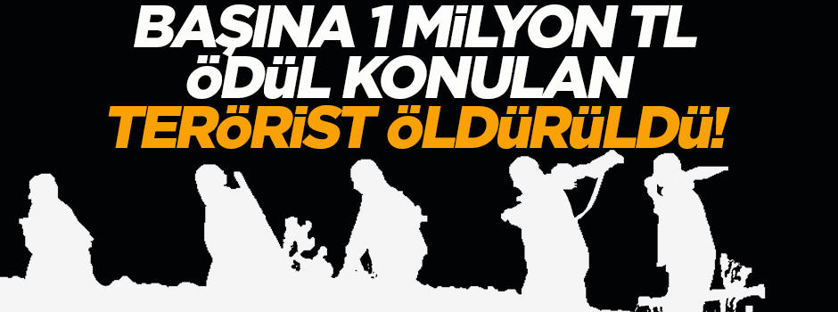 Başına 1 milyon TL ödül konulan PKK'lı öldürüldü!