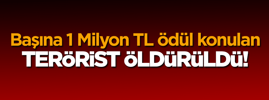 Başına 1 milyon TL ödül konulan terörist öldürüldü