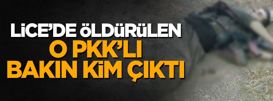 Başına 1 milyon TL ödül konulan terörist öldürüldü