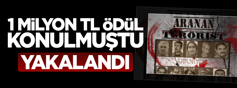 Başına 1 milyon TL ödül konulan terörist yakalandı