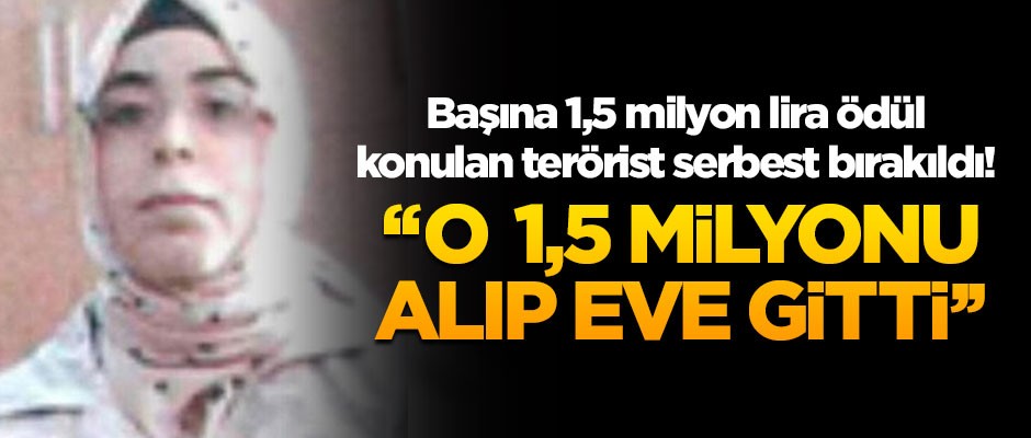Başına 1,5 milyon lira ödül konulan terörist serbest bırakıldı