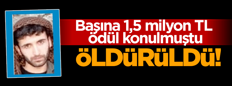 Başına 1,5 milyon ödül konulan terörist öldürüldü!