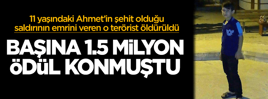 Başına 1.5 milyon TL ödül konulmuştu! Öldürüldü