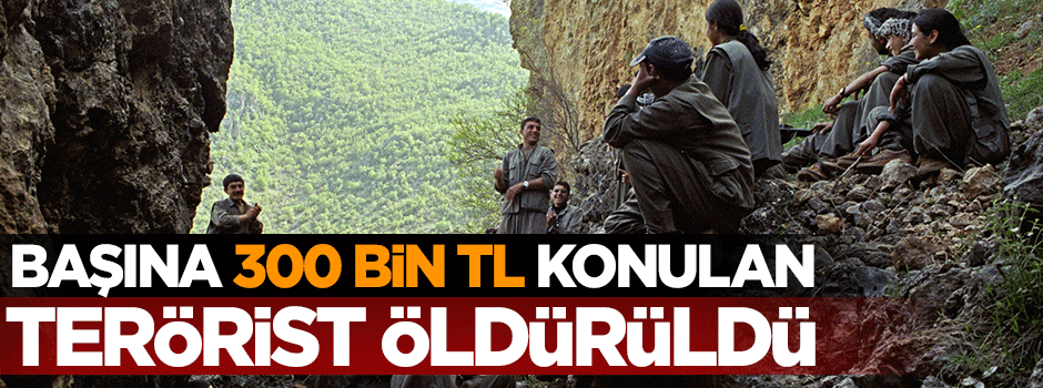 Başına 300 bin TL ödül konulan PKK'lı öldürüldü