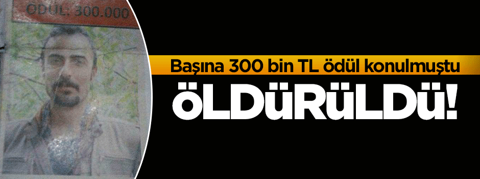 Başına 300 bin TL ödül konulan terörist öldürüldü