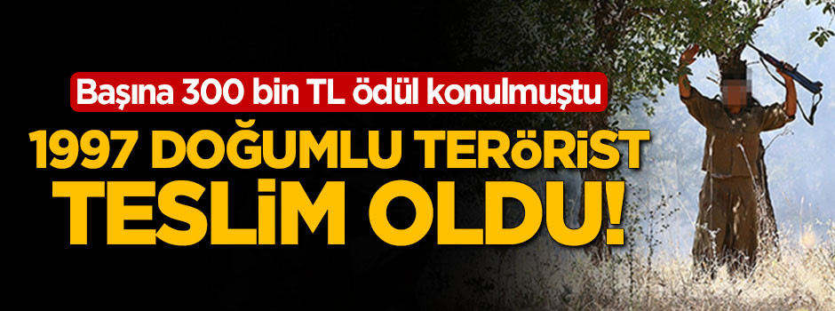 Başına 300 bin TL ödül konulan terörist teslim oldu