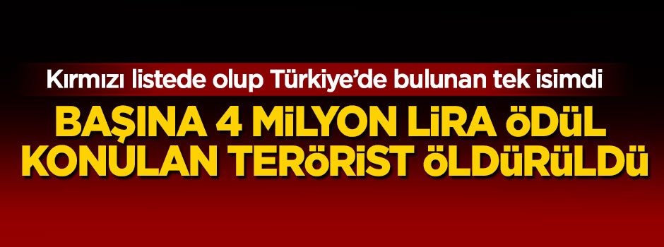 Başına 4 milyon lira ödül konulan terörist öldürüldü