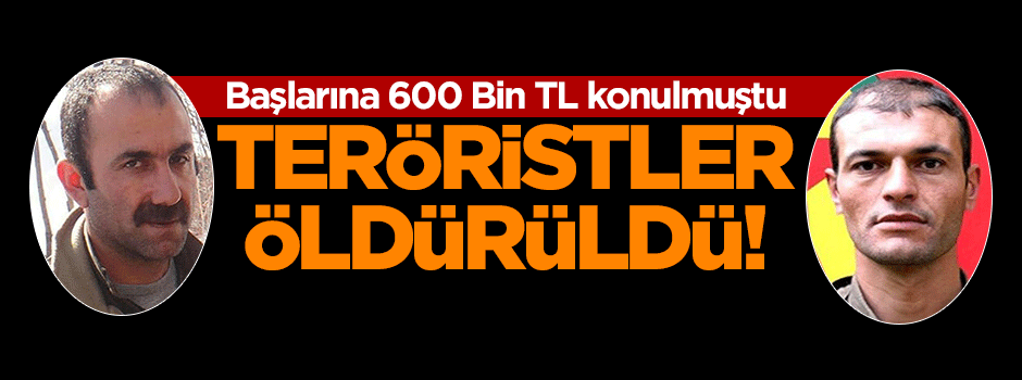 Başına 600 bin TL konulan teröristler öldürüldü