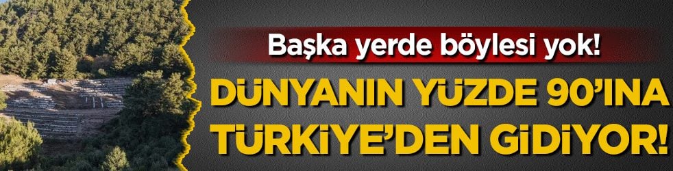 Başka yerde böylesi yok: Dünyanın yüzde 90'ına Türkiye'den gidiyor!