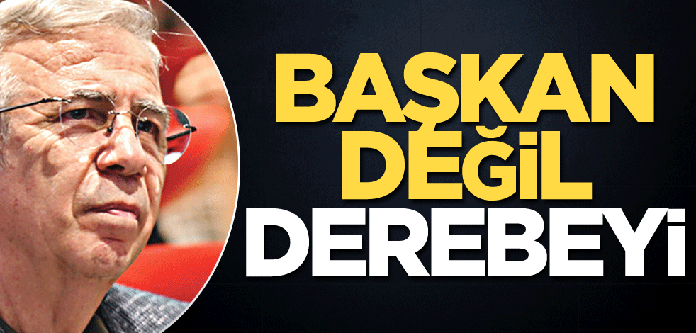 Başkan değil derebeyi