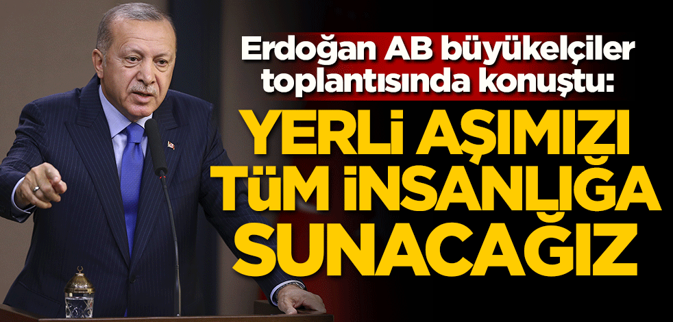 Başkan Erdoğan AB büyükelçileri toplantısında konuştu: Yerli aşımıza tüm insanlığa sunacağız