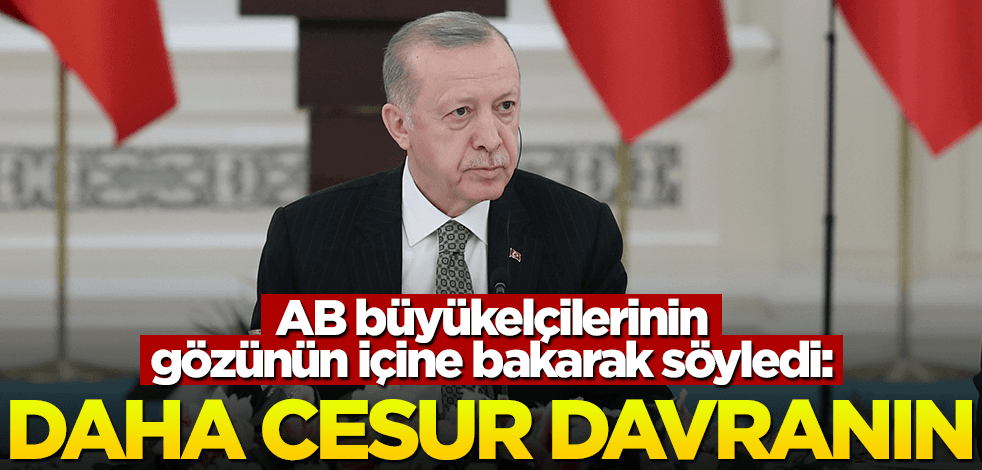 Başkan Erdoğan AB büyükelçilerinin gözünün içine bakarak söyledi: Cesur davranın!