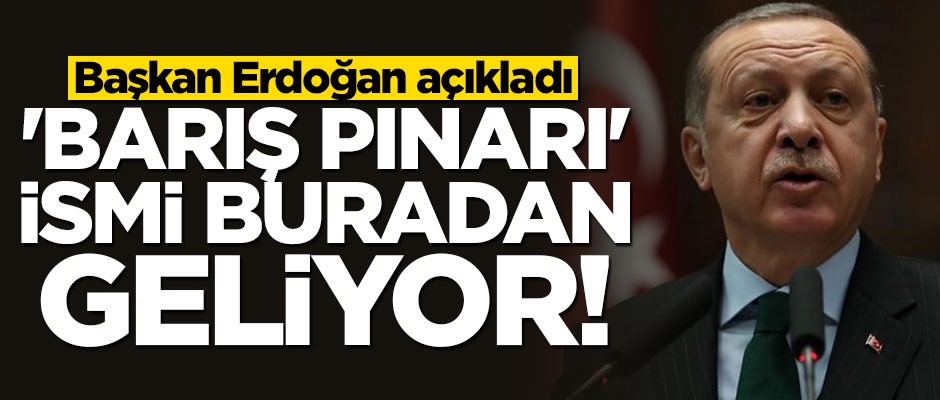Başkan Erdoğan açıkladı! "Barış Pınarı" ismi buradan geliyor